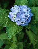ファイル 50-1.jpg